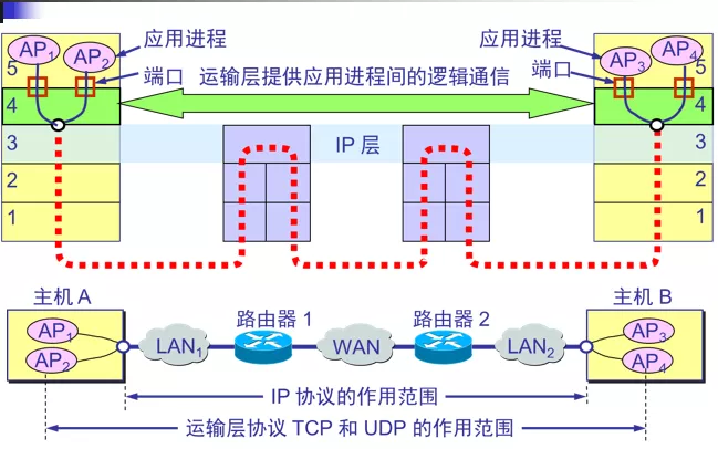 12.webp